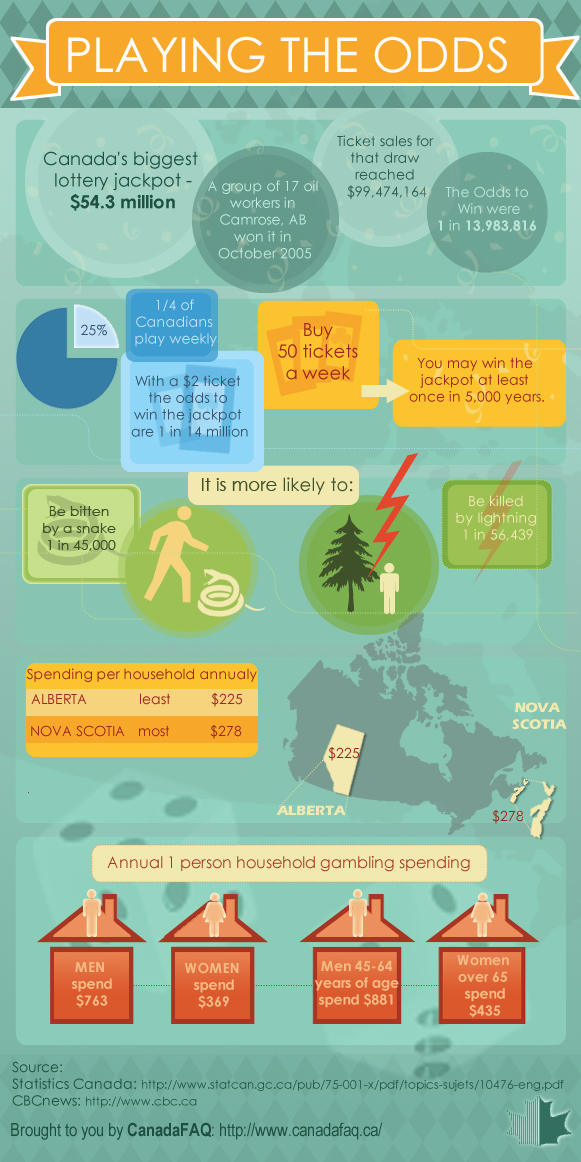 Canadian Lotto Infographic